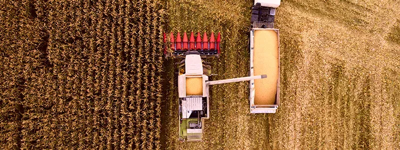 a harvester fills a truck bed with corn